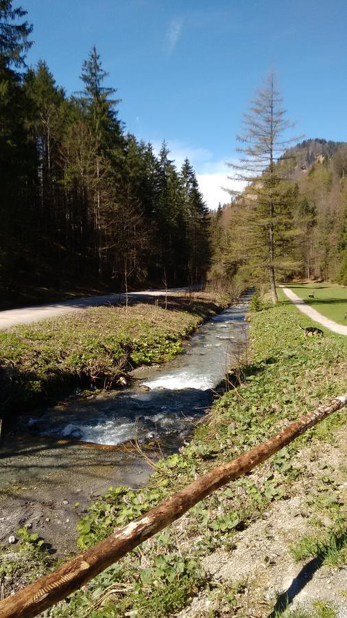 Schwaigeralm Hotel Kreuth Kültér fotó